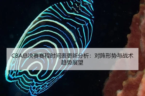 CBA总决赛赛程时间表更新分析：对阵形势与战术趋势展望